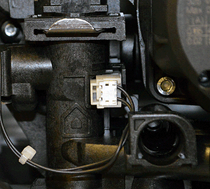 ar genus one net.fls.sen in situ.gif